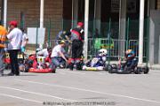 20110501_ales_agnus (2359)